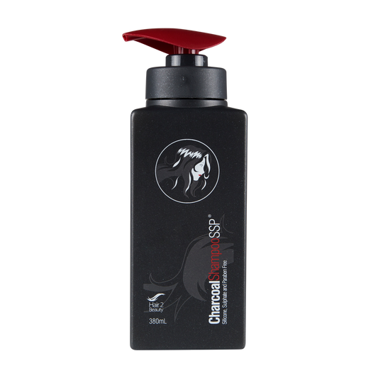 H2B Charcoal Shampoo SSP 380ml
